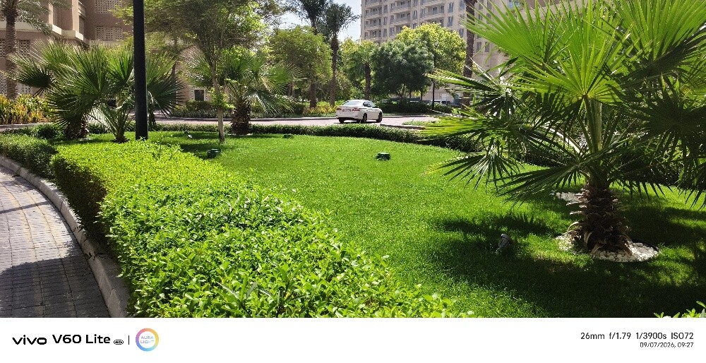 gulf link company - 2