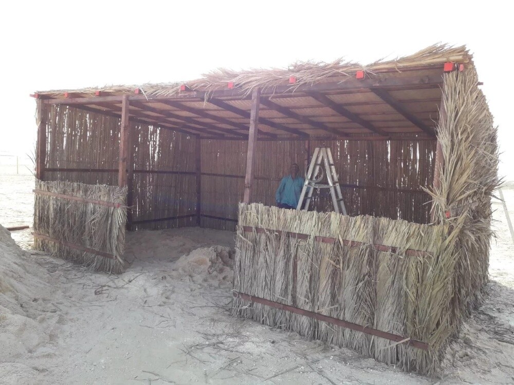 العريش - 5