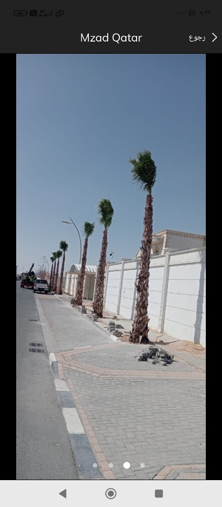 نخيل خدمات - 2