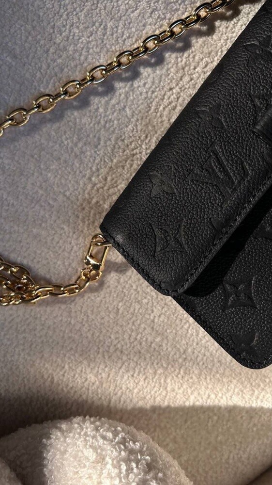 Louis Vuitton Metis Wallet On Chain - 2
