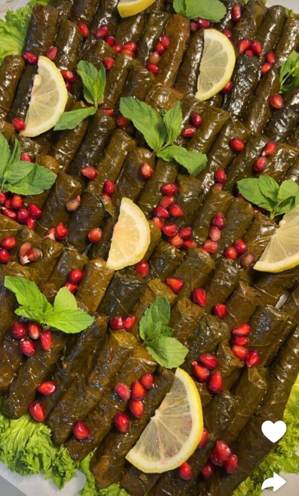 طباخه عربيه خبره أكل خليجي ايطالي - 17