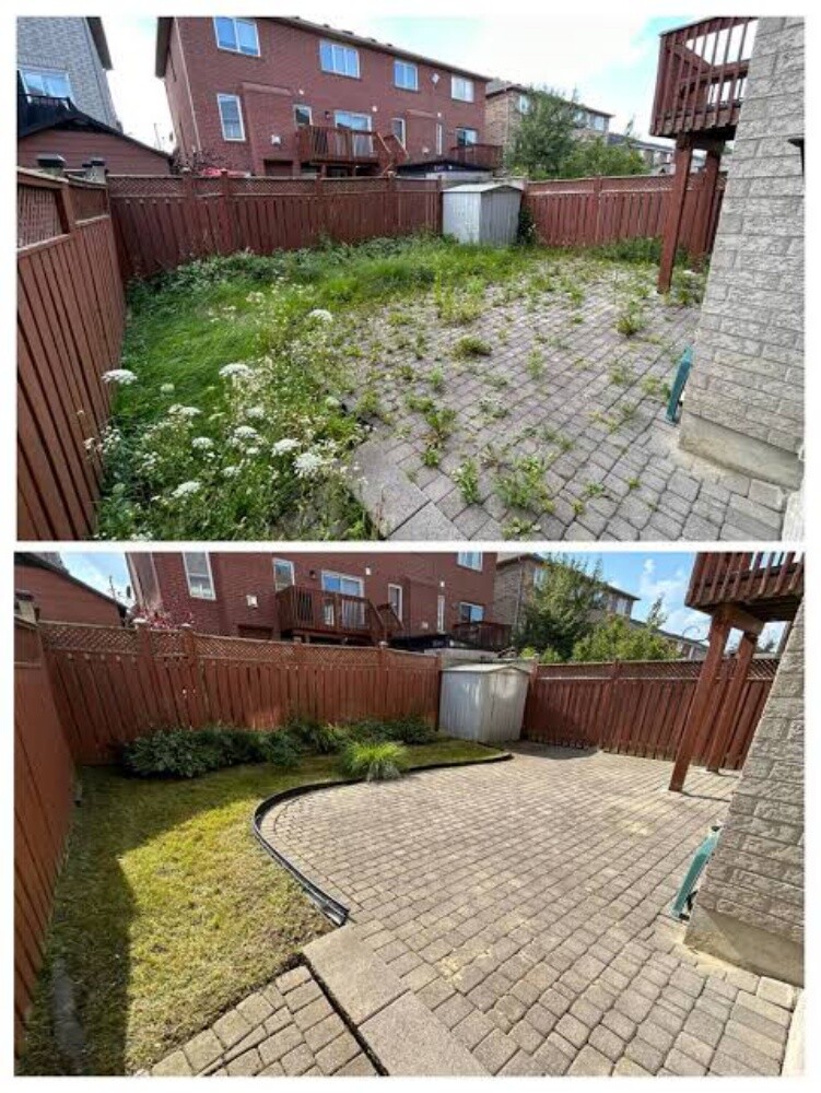 villa cleaning and all cleaning ser - 19
