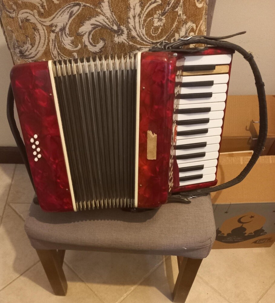 Accordion musical instruments - 2
