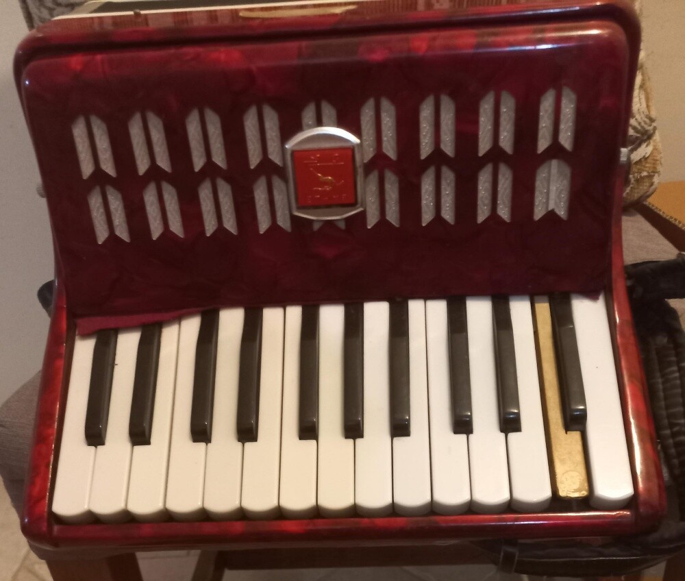 Accordion musical instruments - 1