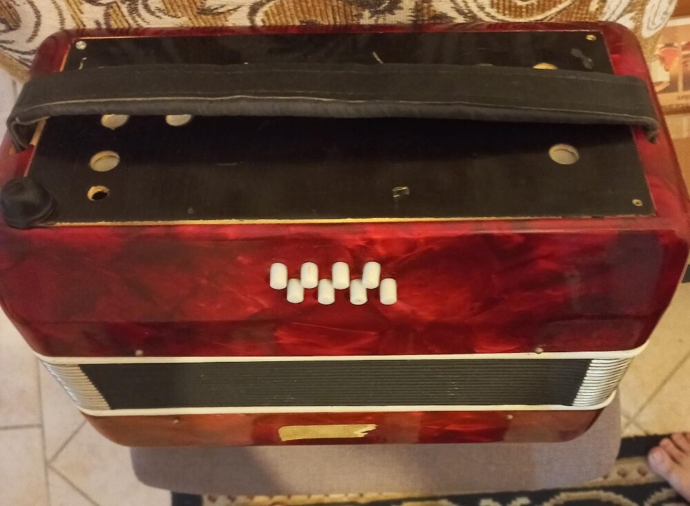 Accordion musical instruments - 3