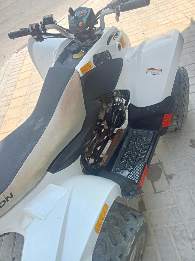 Baji for Sale - 4