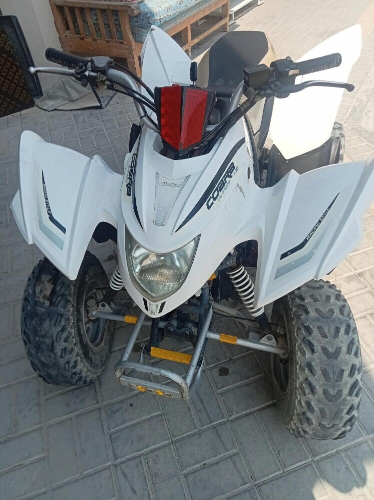 Baji for Sale - 7