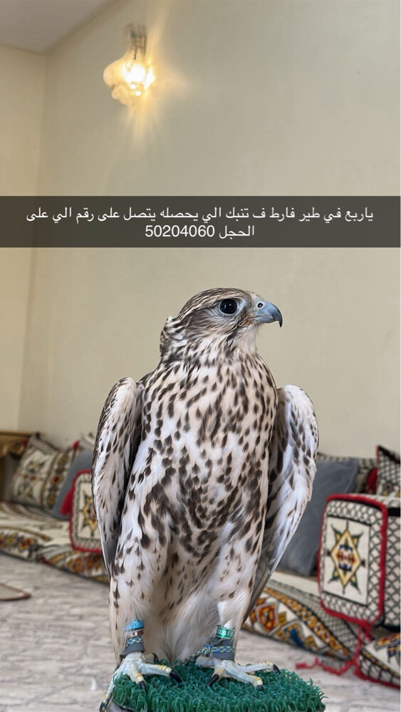 الخالدي  - 1