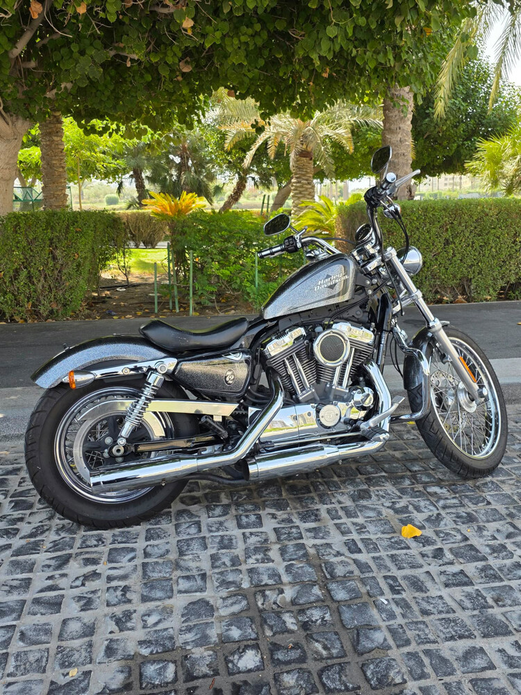 Harley Davidson 72 - 6