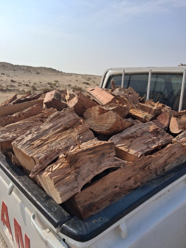 ، حطب ناشف  يابس  موجودة - 1