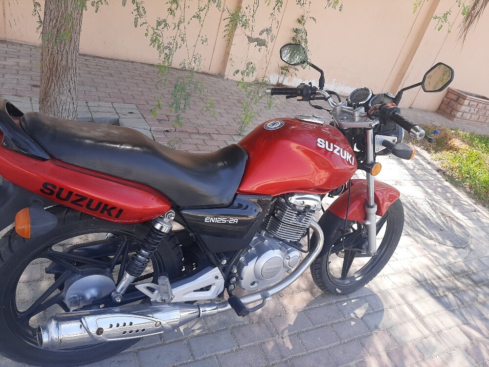 for sale  very nice pike - 2