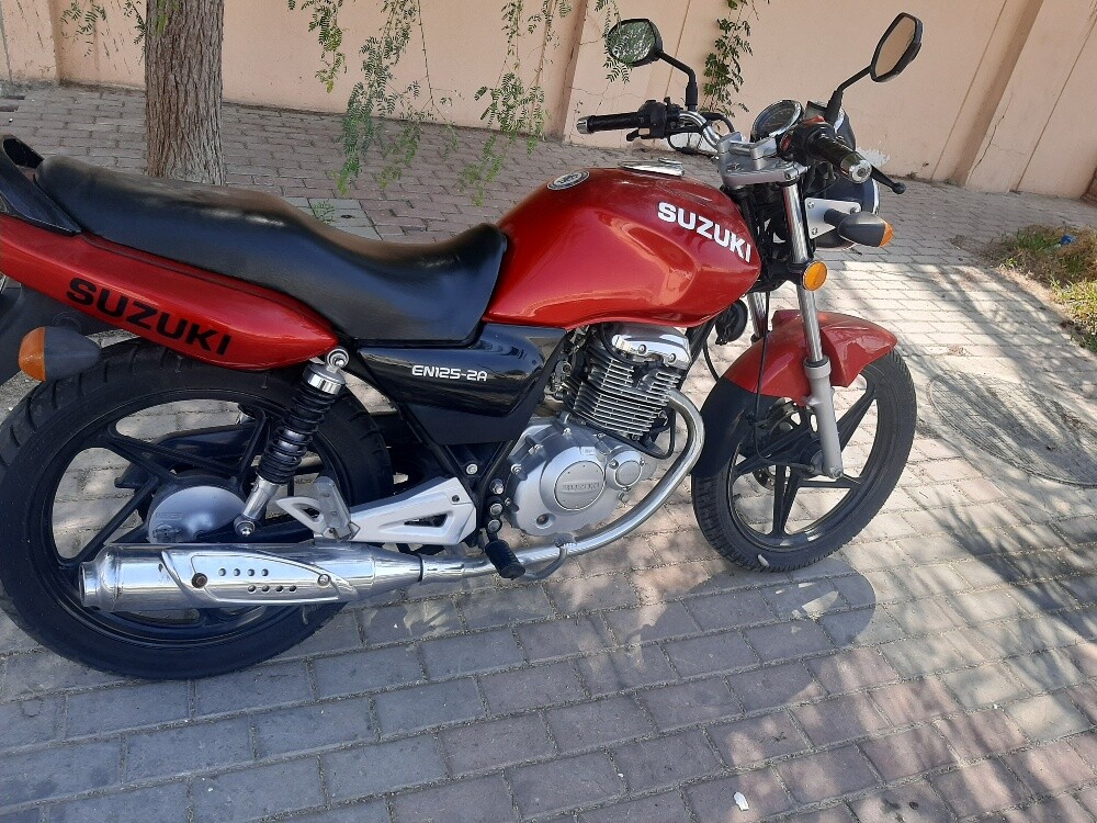 for sale  very nice pike - 1
