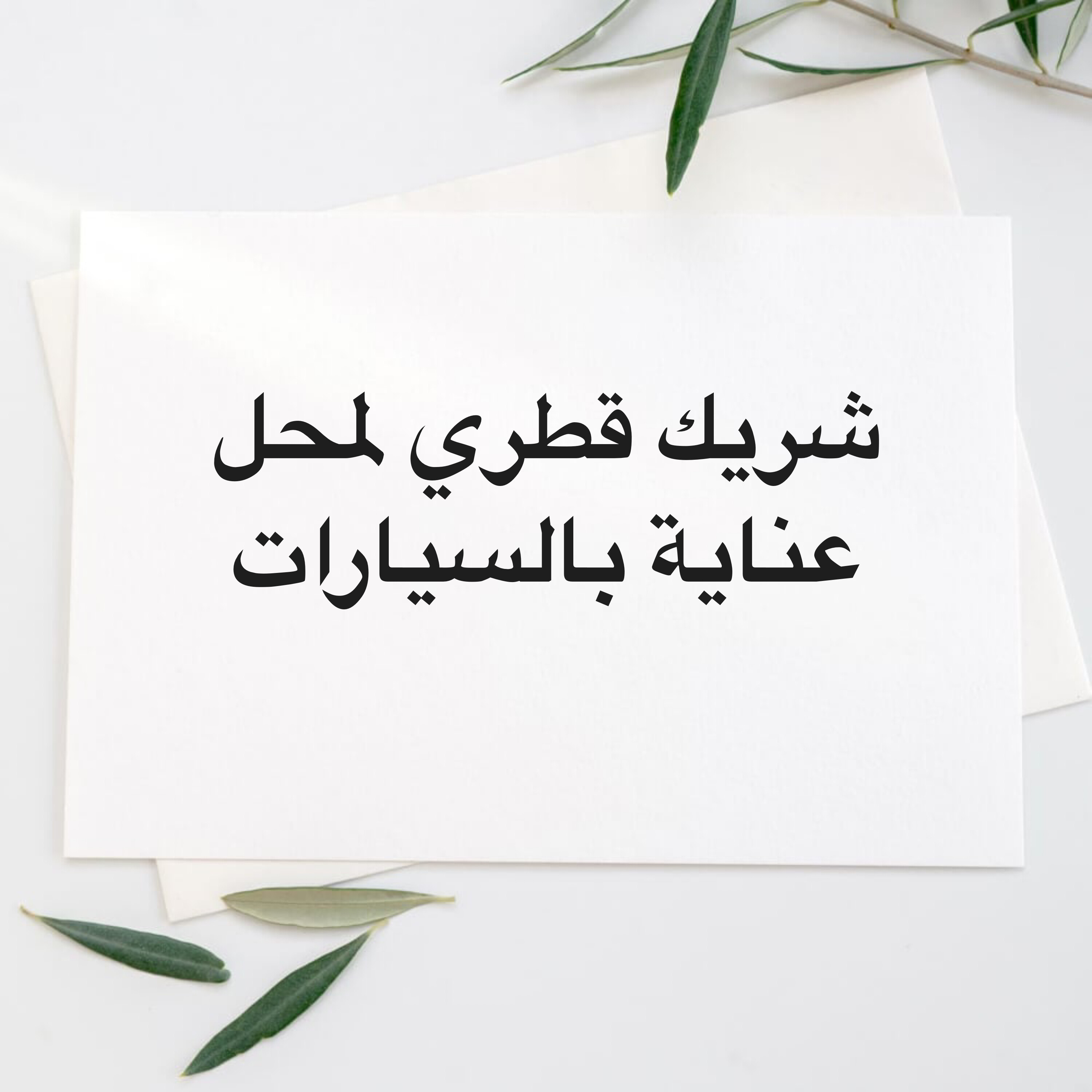 شريك قطري ممول  - 1