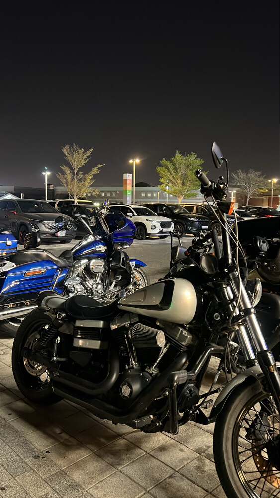 هارلي ستريت بوب  - 5