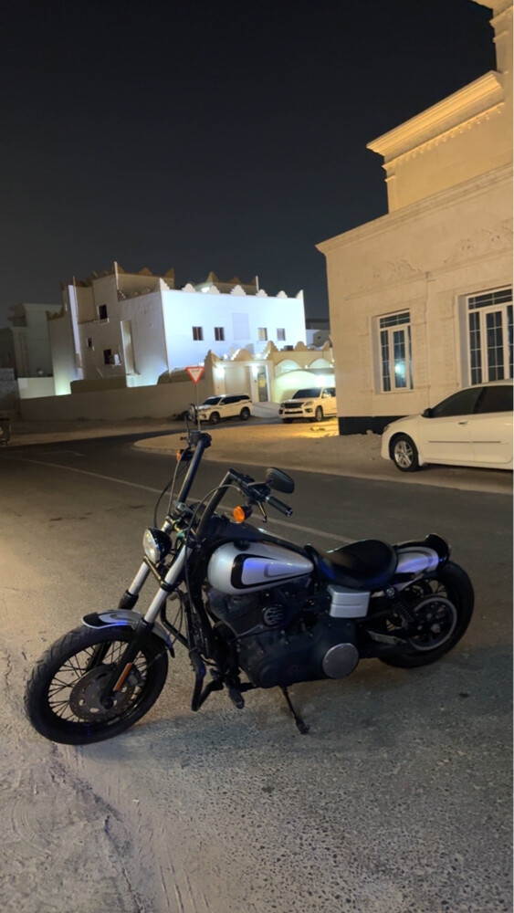 هارلي ستريت بوب  - 2