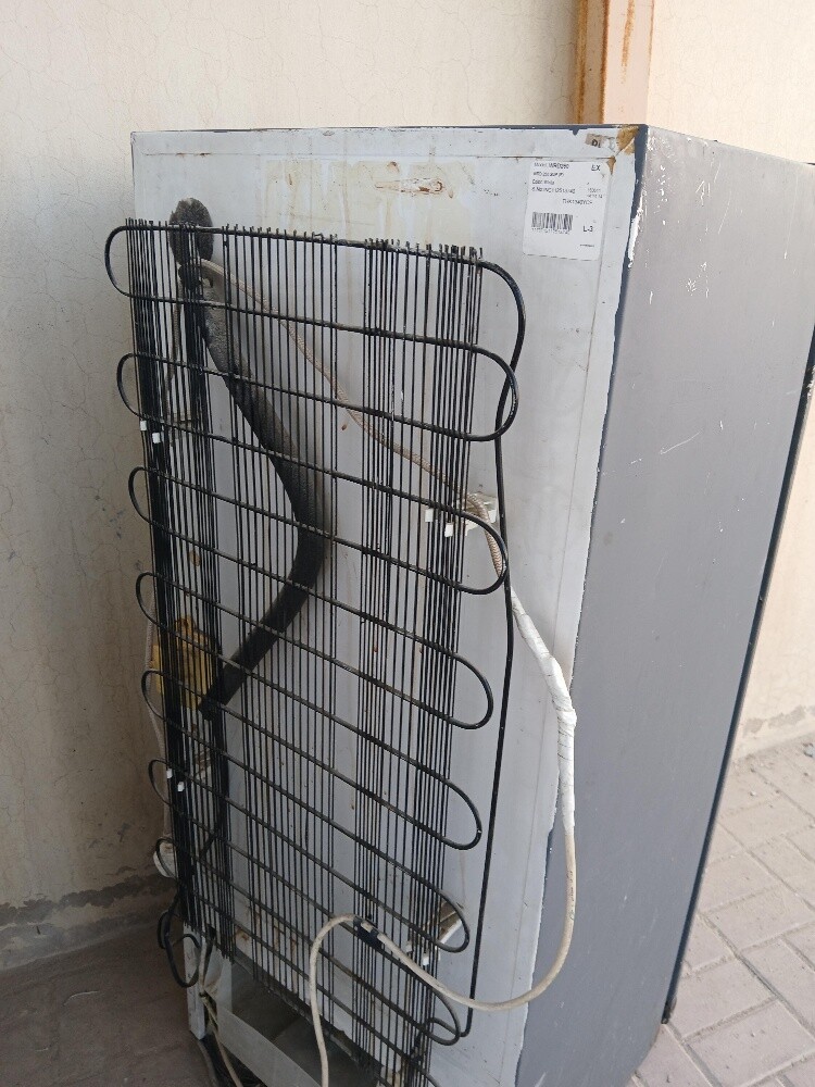 fridge for sale - 4