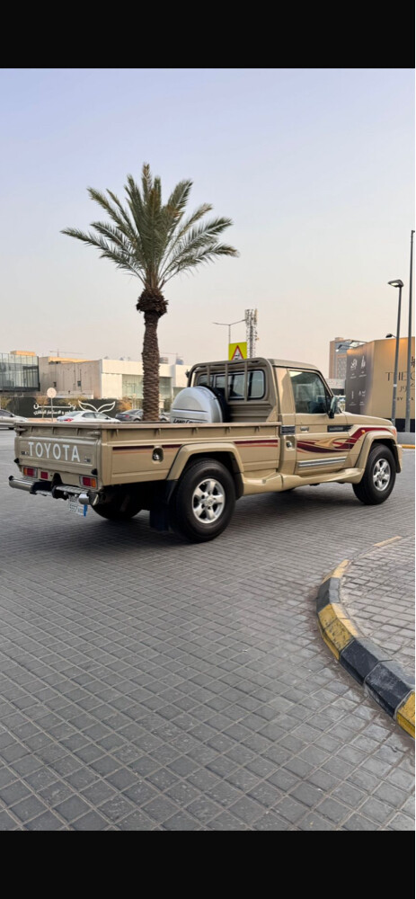 زوايد شاص بيج - 1