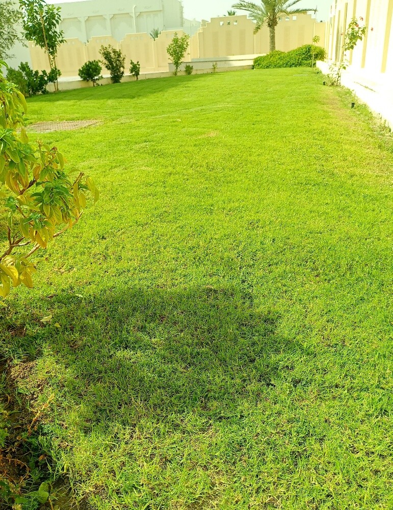 متخصص في زراعة وتنسيق الحدائق وزر - 2