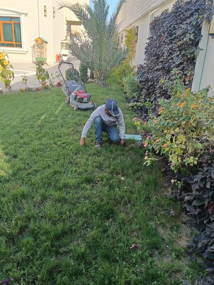 زراعه الفلل والقصور والمجمعات - 3
