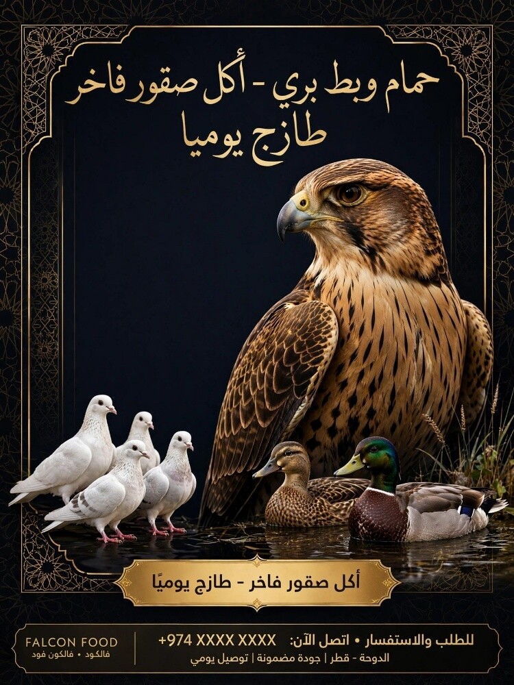اكل الصقور حمام وبط بري - 6