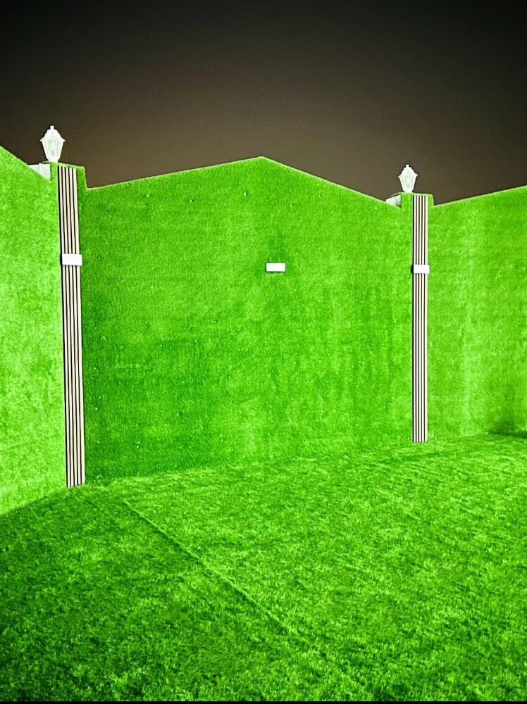 Artificial grass Carpet - 3
