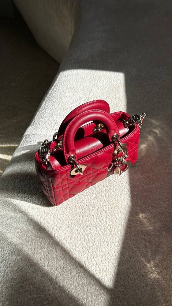 Christian Dior Small Lady D-Joy Bag - 3