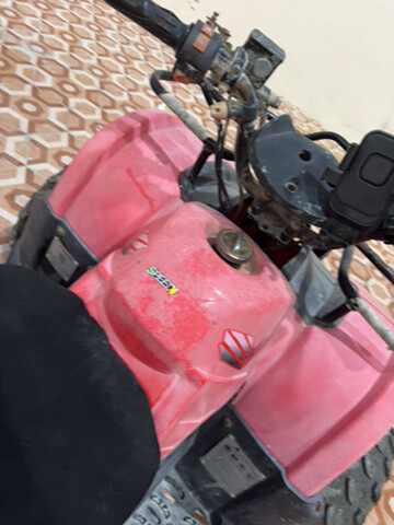 بطبطه قويه الوصف - 2