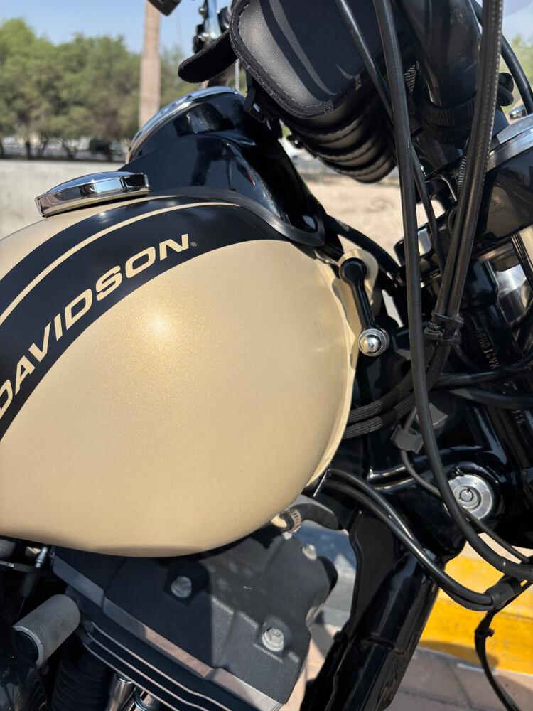 2014 Harley Davidson Dyna Fat Bob - 9