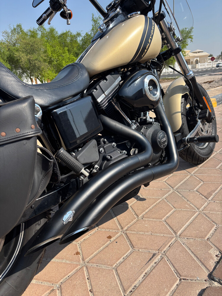 2014 Harley Davidson Dyna Fat Bob - 2