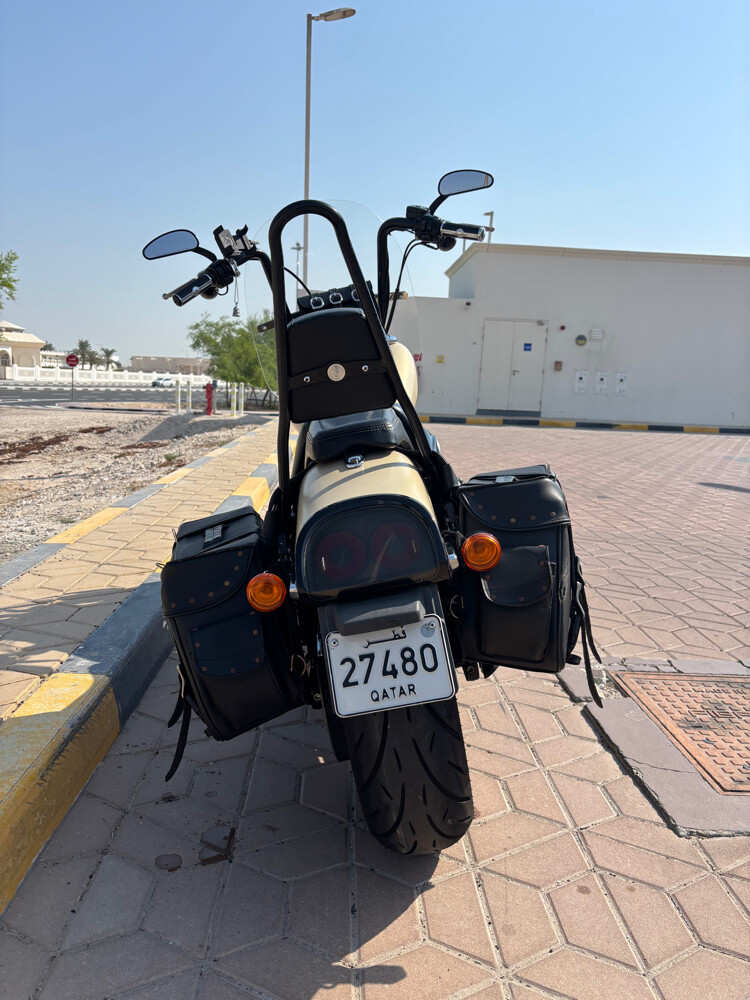 2014 Harley Davidson Dyna Fat Bob - 3