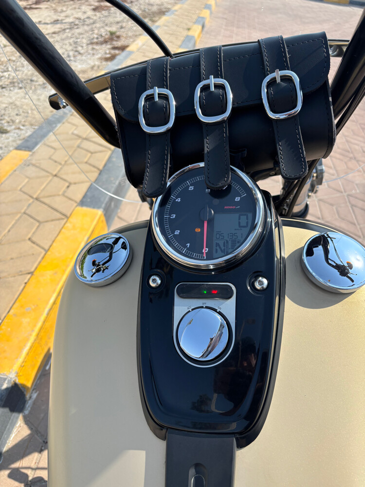 2014 Harley Davidson Dyna Fat Bob - 4