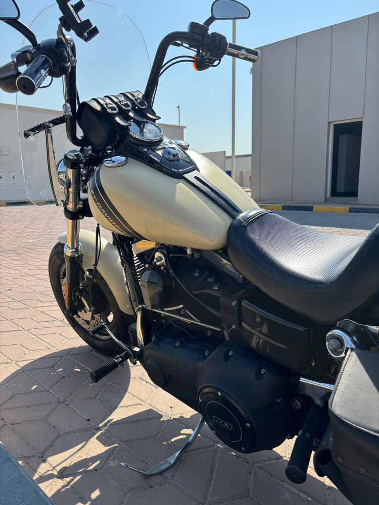 2014 Harley Davidson Dyna Fat Bob - 8