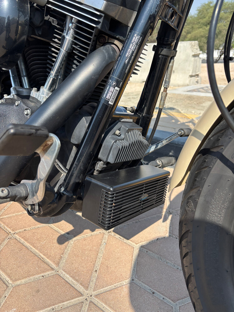 2014 Harley Davidson Dyna Fat Bob - 5