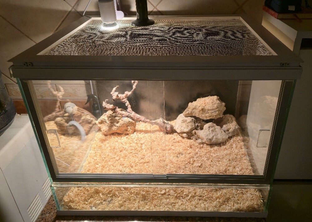 Reptile enclosure only for sale - 2
