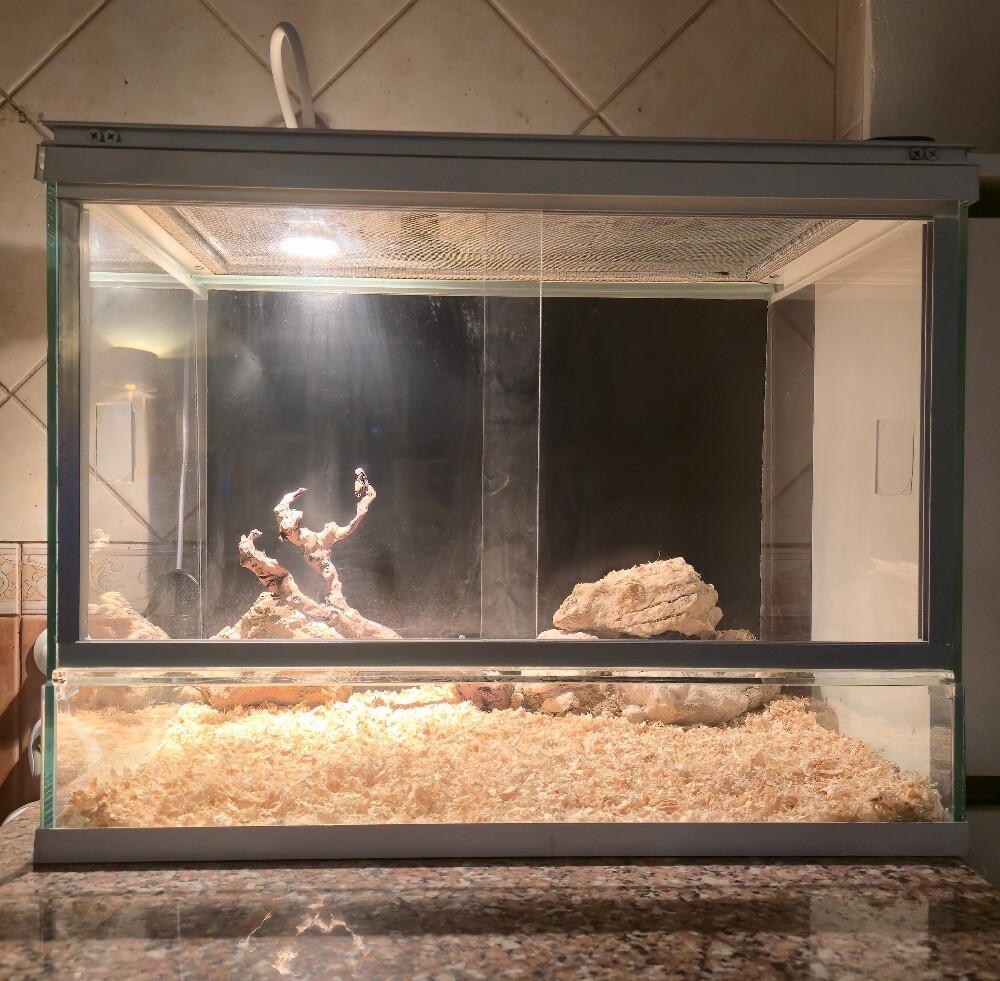 Reptile enclosure only for sale - 1