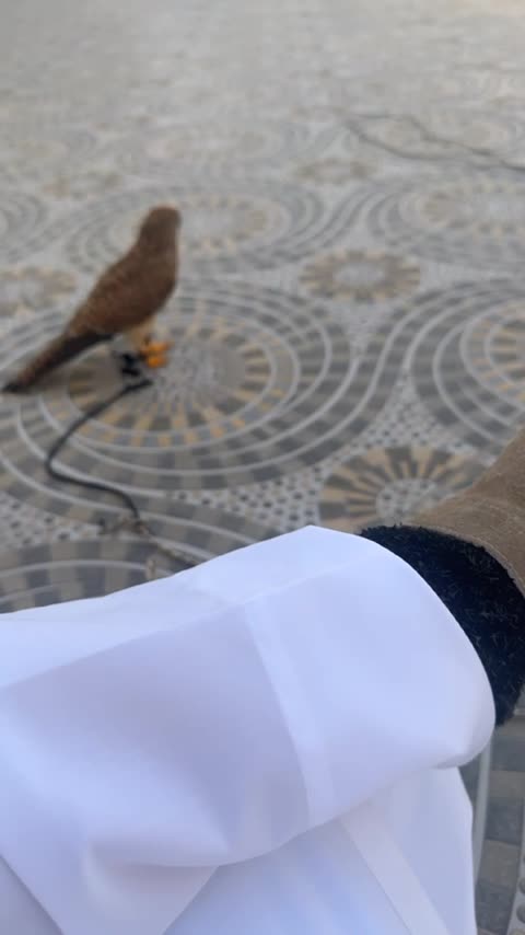 شرياص مصقور - 2