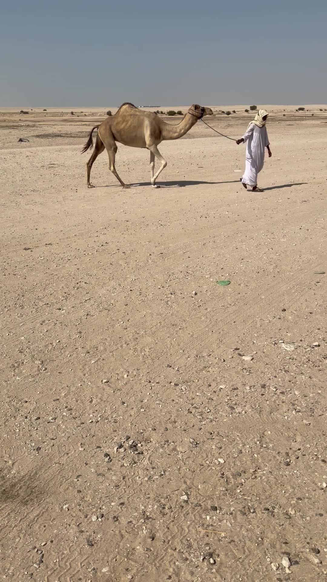 بنت شاهين بن عويضان  - 1