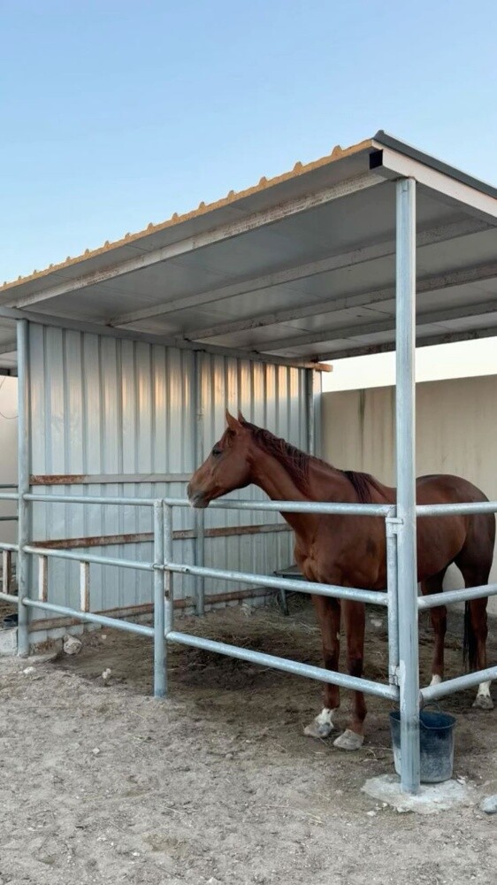 Horse stable 12x15 - 2