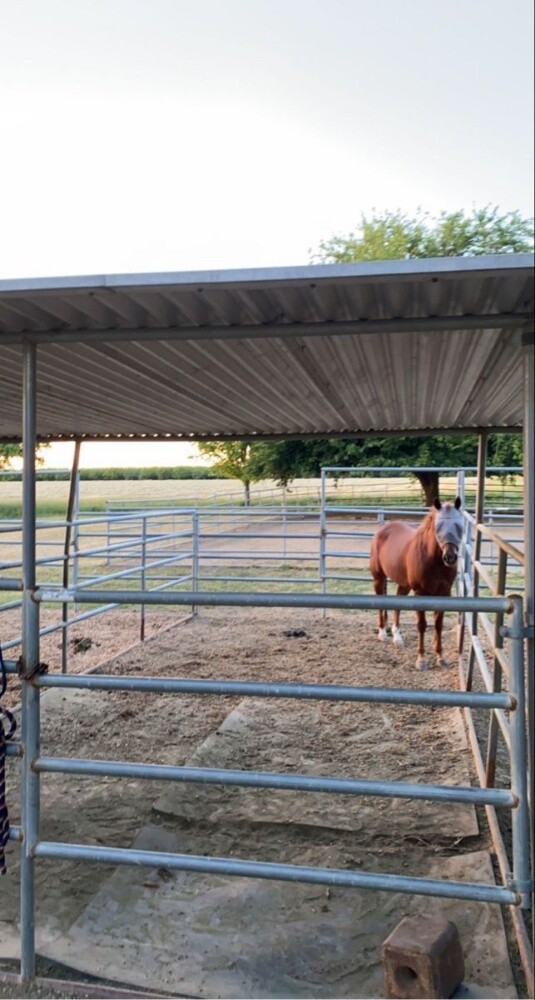 Horse stable 12x15 - 4