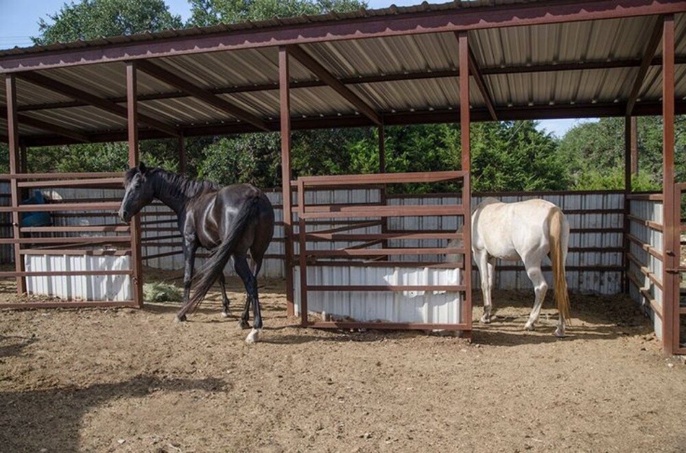 Horse stable 12x15 - 3