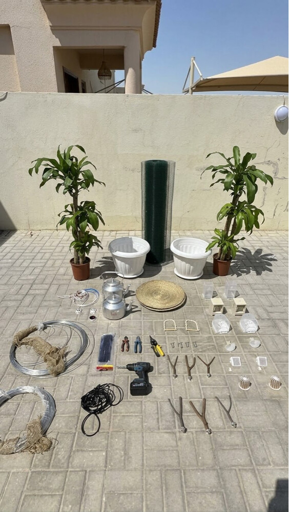 جناح وورق - 3