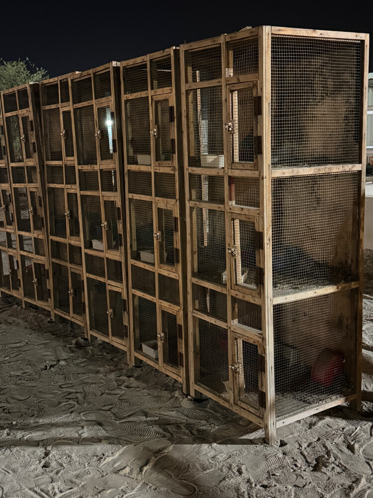 Pigeon cage - 4