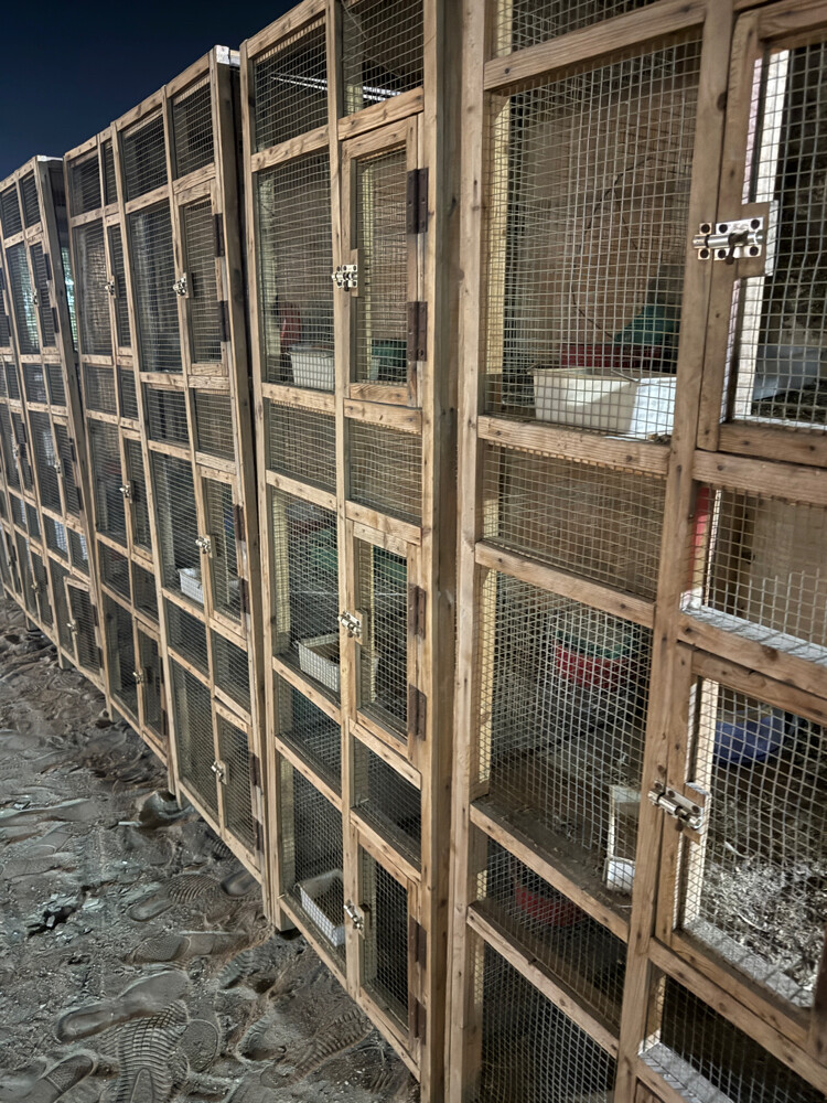 Pigeon cage - 1