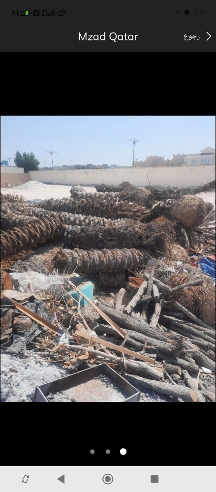 مقطع اشجار ونخيل - 1