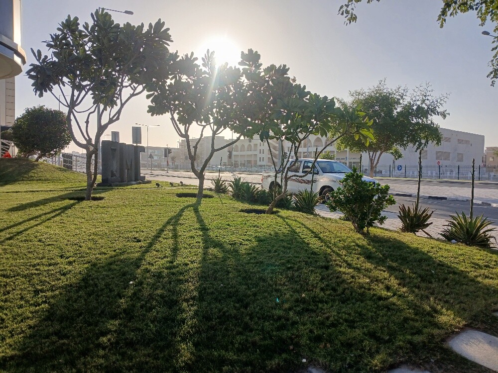 اقوم بقص العشب - 6