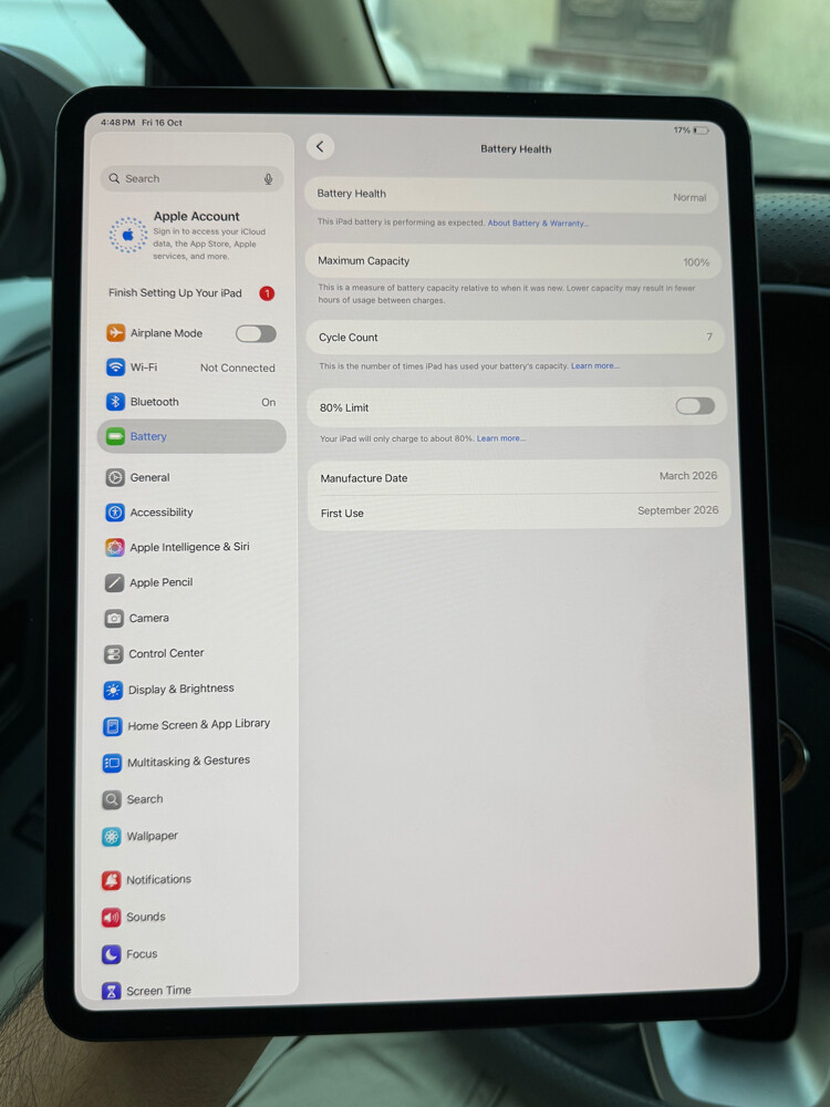 iPad Pro 13 Inch M5 256 GB 100% - 2