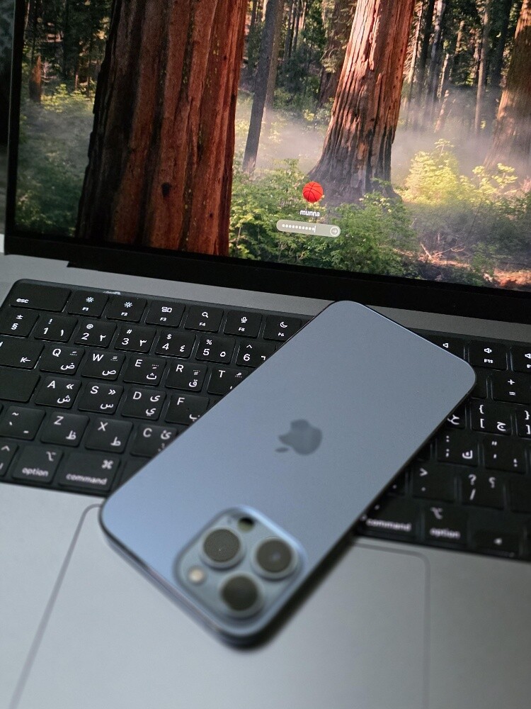 iphone 13 pro max - 3