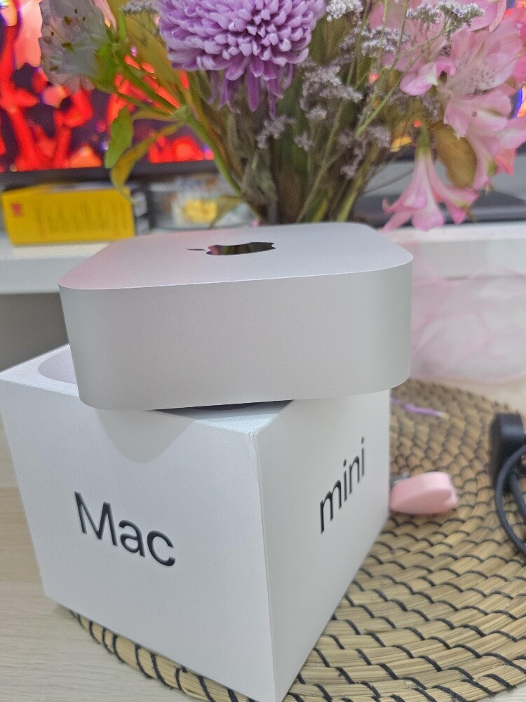 24/512Gb Mac Mini M4 Silver - 2