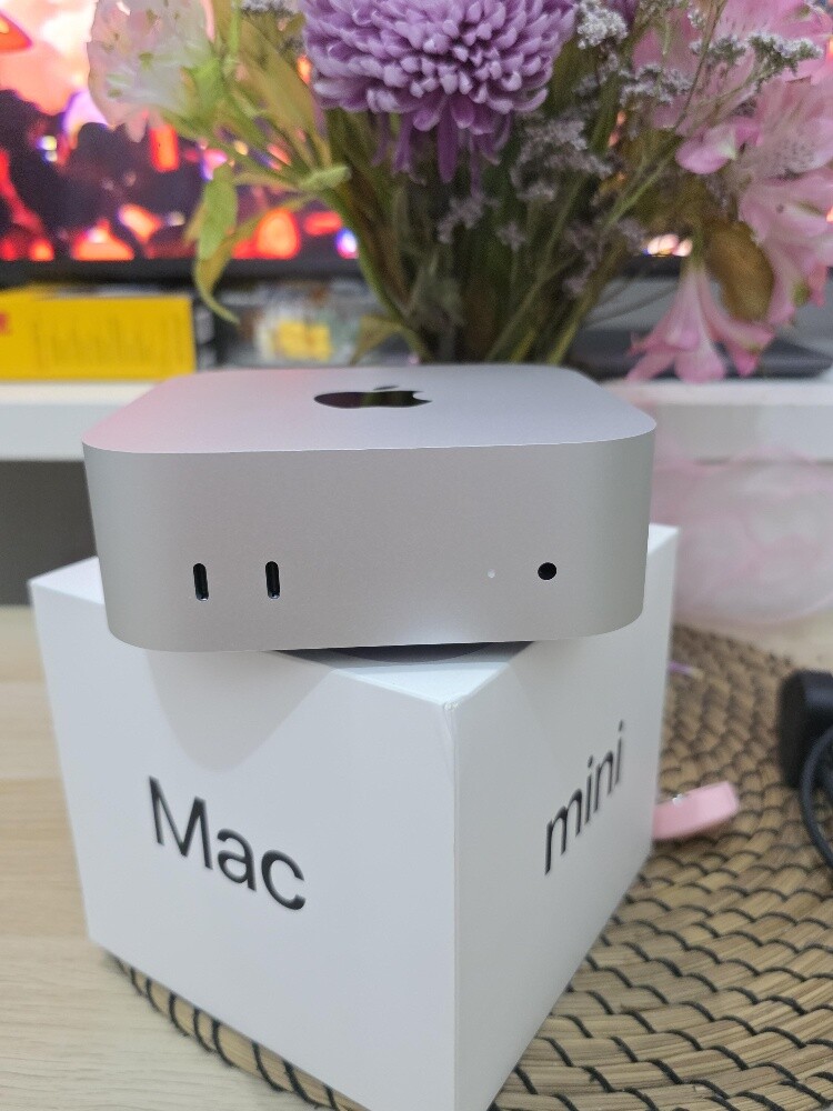 24/512Gb Mac Mini M4 Silver - 4