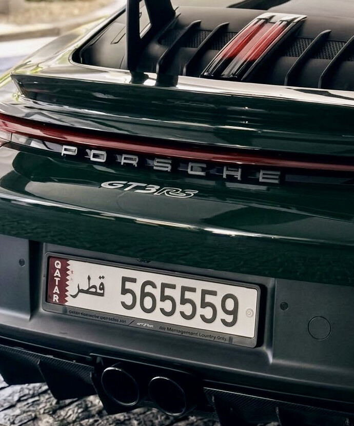 65559 Special plate  - 1